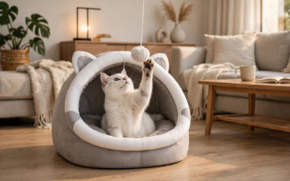 Cat cave bed.
